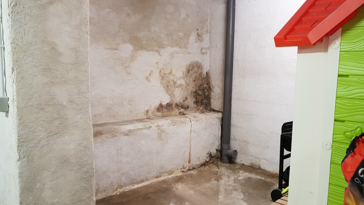 Infiltrations d'eau - Expertise humidité à Périgueux